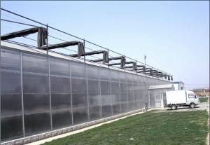 Quality Anti Wind PC Sheet Greenhouse High Light Transmission Span Width 9.6 / 10.8 / 12m wholesale