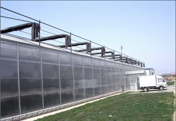 Anti Wind PC Sheet Greenhouse High Light Transmission Span Width 9.6 / 10.8 /
