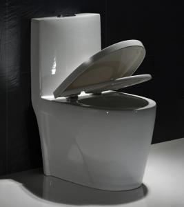 Quality Map1000 Dual-Flush Elongated One-Piece Toilet Seat Included Small Bathroom wholesale