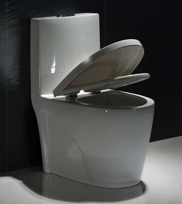 Top Flush One Piece Elongated Toilet With 11 Inch Rough In Slowdown Seat Cover