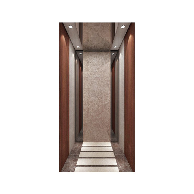 Villa VVVF Residential Passenger Elevator Indoor Home Small Passenger Lift