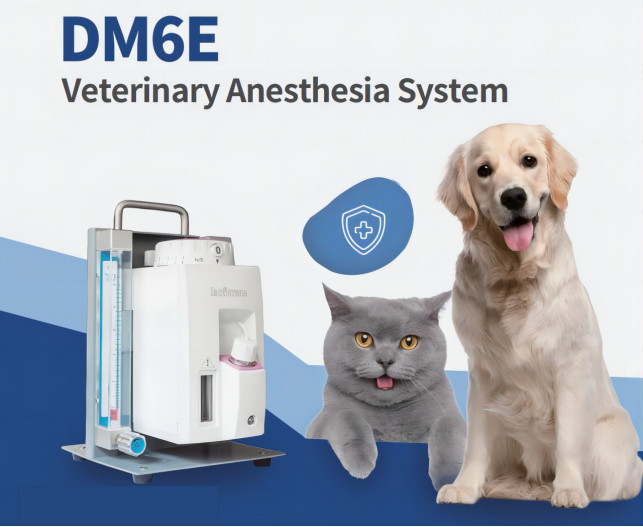 DM6E Veterinary Anesthesia Machine 110V-240V VET anesthesia ventilator