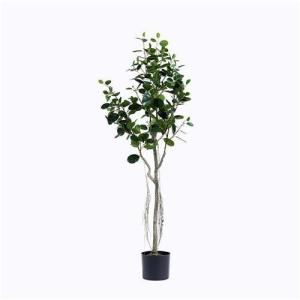 Quality Plastic Ficus Microcarpa Tree wholesale