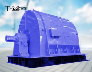 Quality 15000kw Variable Speed Permanent Magnet Synchronous Motor 300r/Min wholesale