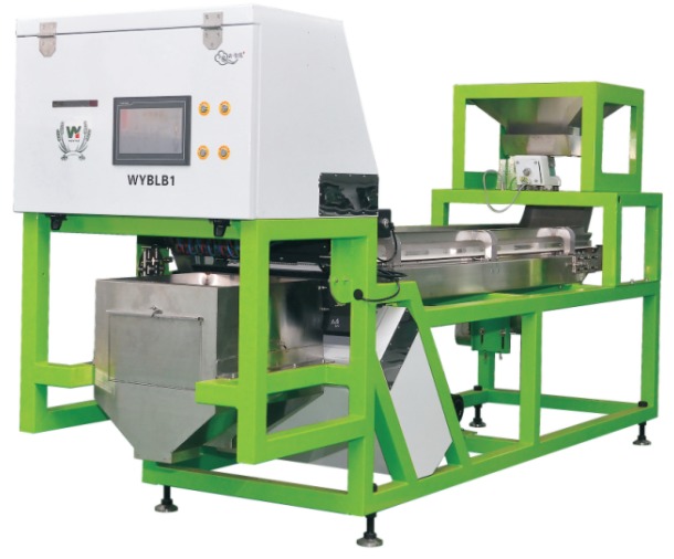 CCD Camera Optical Garlic Colour Sorting Peeling Garlic Removing Spotted Machine Walnut Garlic Cherry Coffee Color Sorter Machine with CE