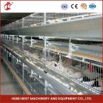 Hot Galvanized Broiler Transport Cage Silver Color Durable Reliable Mia