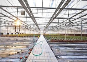 Quality 3 - 5m Gutter Height Hydroponic Greenhouse Great Heat Retaining Property wholesale