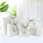 100% Paper Shopping Bags For Shopping Recyclable Disposable