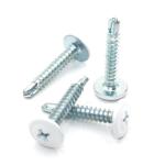 Inspected Self-Drilling Screws in SS304/Carbon Steel/Brass for Fine Metal
