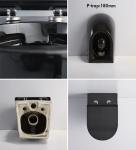 Dual Flush Gravity Wall Hung Toilet P Trap Self Cleaning Glaze