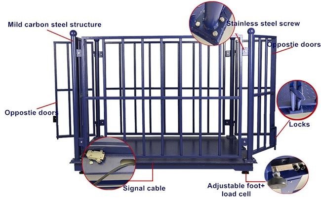 Digital OEM Cattle Weighing Scales 1.2*1.5*1m Industrial