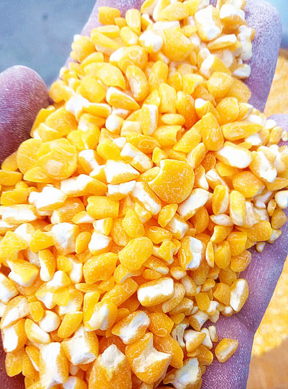 Multifunctional Corn Peeler and Polisher Machine