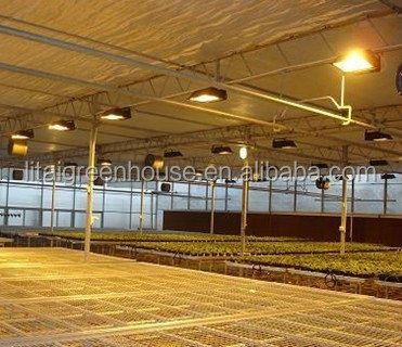 Film Covered Galvanized Greenhouse for Stable Structure and Vegetable Cultivation