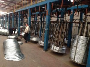 Quality Galvanized Iron/steel Wire wholesale