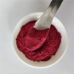 Wholesale Elderberry Powder For Instant Tea Powder