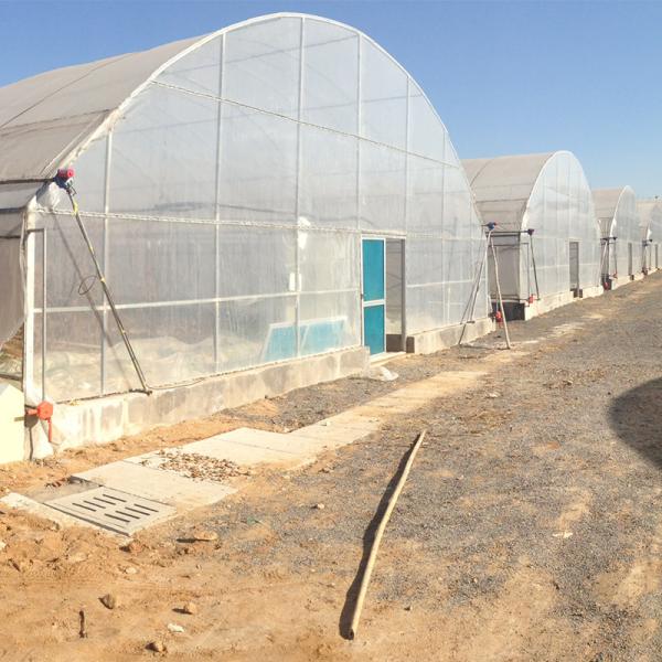 Easy To Install Agricultural Greenhouses for Growing Flowers Vegetables and