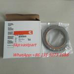 Hot sell Cummins Nt855 Diesel engine Crankshaft Oil Seal 3006738 3006736 3020183