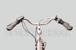 25km/H Electric City Bicycle 700C Front Wheel Gear Motor Roller Brake