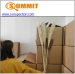 Pampas Grass CE Pre Shipment Inspection Services