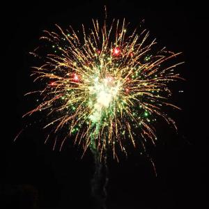 Quality Custom 200 Shots 1000G Cake Fireworks 1.4 Pro Cake Pyrotechnic For US Market 2025 Chinese Wholesale wholesale