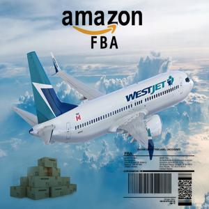 Quality Door To Door China To UK Amazon DDP Air Shipping wholesale