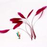 Buy cheap Dyed Pattern Party Decoration Stripped Rooster Coque Feather 12-14inch / 14 from wholesalers