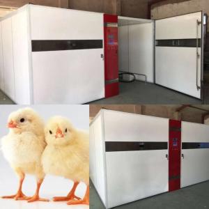 Quality LED Digital Display Chicken Hatching Machine 50kg wholesale
