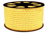 Luminous Flux 40LM 2835 SMD Plastic 12V Indoor LED Strip Light