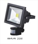 LED Flood light PIR one ce rohs saa
