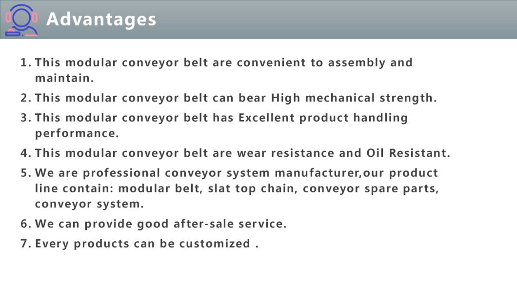Flush Grid Conveyor Belt Modular Plastic Belt From Producer