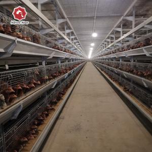 Quality One Day Old Chicken Cage Poultry 204 birds h type broiler cage wholesale