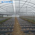 Agricultural Commercial Industrial Plastic Film Tomato Grow System 150 Micro