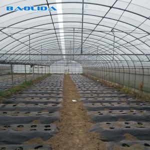 Quality Vegetables Seeds Plastic Film Greenhouse Ventilated Multi Span Sheet Covering wholesale