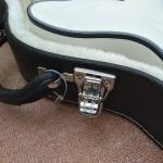 High quality hollow body jazz electric guitar, rosewood fingerboard black