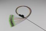 UPC / APC Polish Optical Fiber Pigtail SC LC ST FC 12 Core Ribbon Fan Out Tight