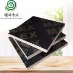 Durable Poplar Core Plywood , Film Faced Shuttering Plywood For Building