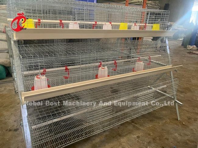 Galvanized 25 Years Lifespan Pullet Chicken Cage Emily