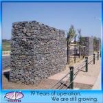 600*600*20/25 Heavy Stainless Steel Hexagonal Gabion Wire Mesh with Years of