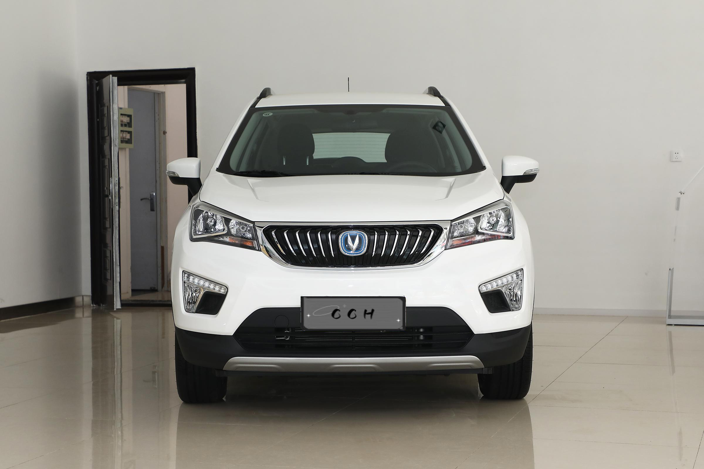 Environmentally Friendly Left Hand Driver Hatchback EV CS15 Euro 6