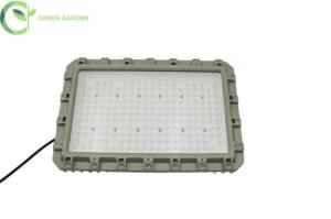 Quality High Power Explosion Proof LED Flood Lights For Hazardous Areas 100-277V wholesale