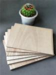 Rebreakable Taekwondo Boards 225*300mm With Custom Logo Service