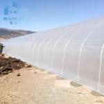 Agriculture Plants Growing Strong Structure Polyethylene Film Greenhouse for
