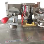 OEM Fruit Vegetable Packing Machine 600mm 100bags/min Pillow