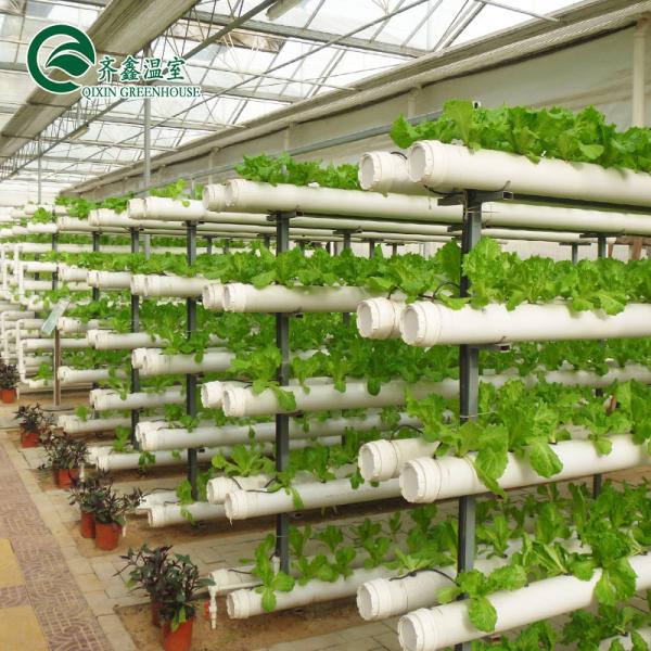 PE Vertical Hydroponic Nft Pipe Systems for Greenhouse Agriculture Water