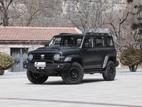 Competitive 5 Seat 5 Door 3.0T Tank 300 SUV 500Nm 265KW 360Ps 4WD New Energy