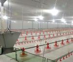 Steel Poultry Slat Flooring , Plastic Slatted Floor For Chicken
