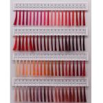 Embroidery Silk Thread Color Cards Book 5000y Length/cone and 100% Polyester