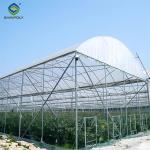 4 Seasons Agricutural Type Blueberry Greenhouse For Planting Single Layer