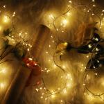 Waterproof LED Cluster Fairy Light Firecrackers String Copper Silver Wire