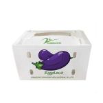 Broccoli Corflute Storage Boxes Honeycomb Corrugated Box For Fruits
